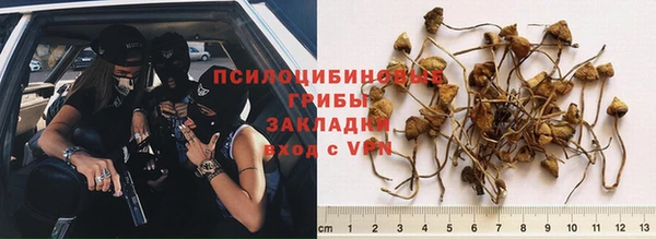 марихуана Белокуриха
