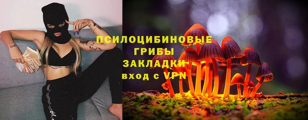 гашик Белоозёрский